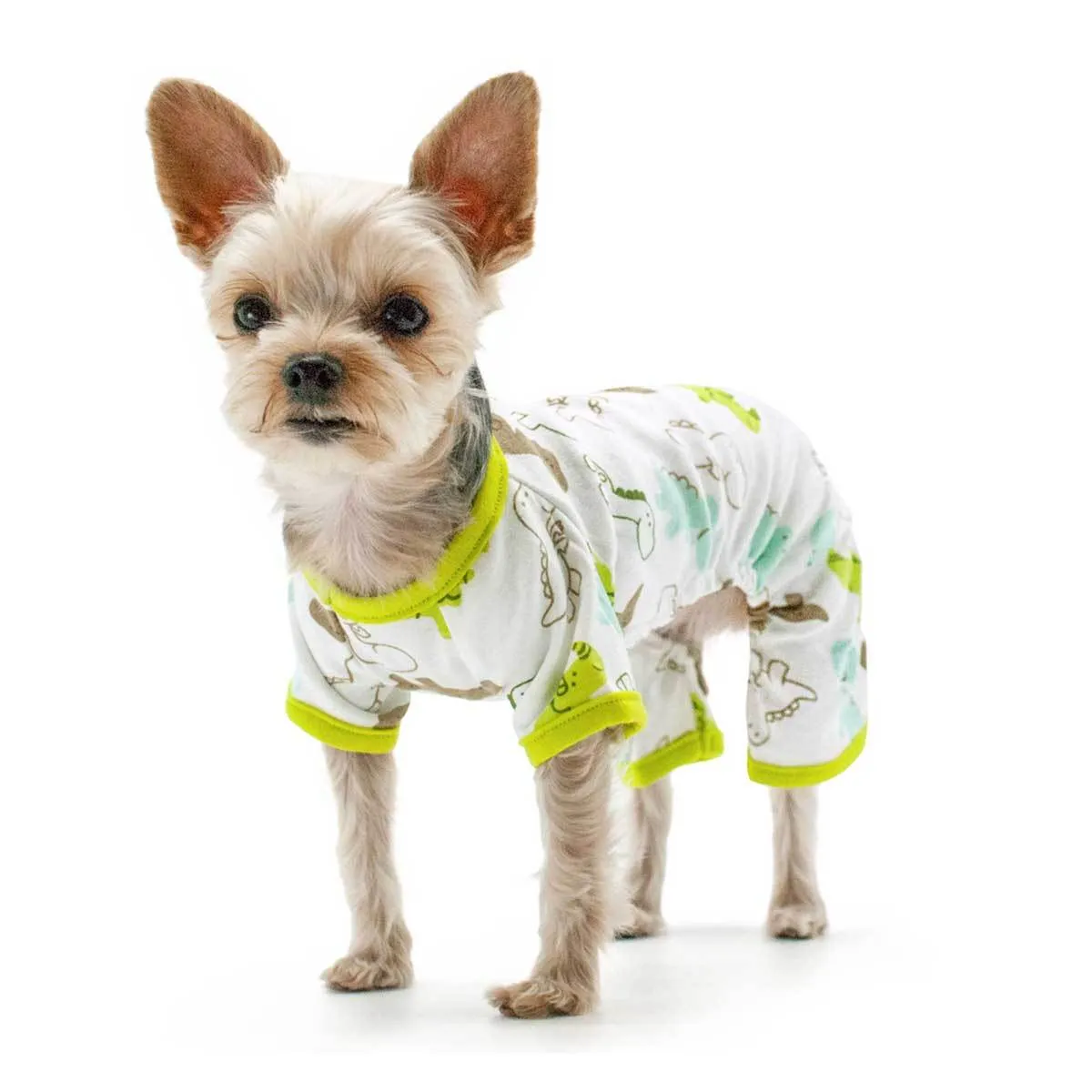 Dinosaur Dog Pajamas