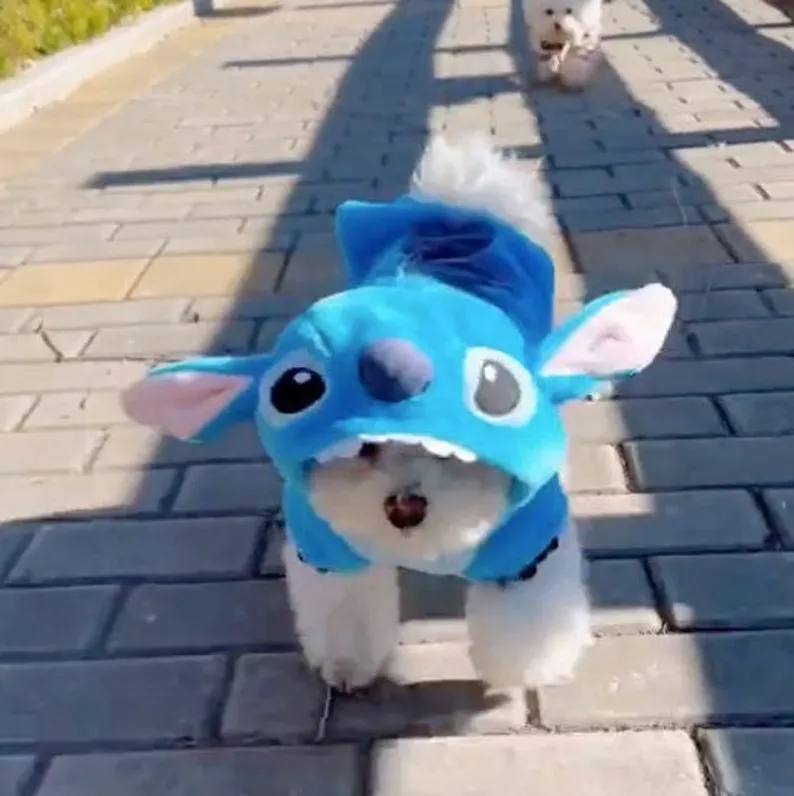 Stitch Angel Dog Costume Fleece Lined Hoodie